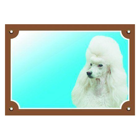 Barevná cedulka Pozor pes, Pudl světlý