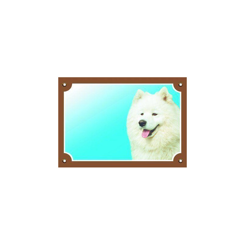 Barevná cedulka Pozor pes, Samojed