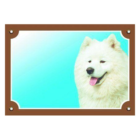 Barevná cedulka Pozor pes, Samojed