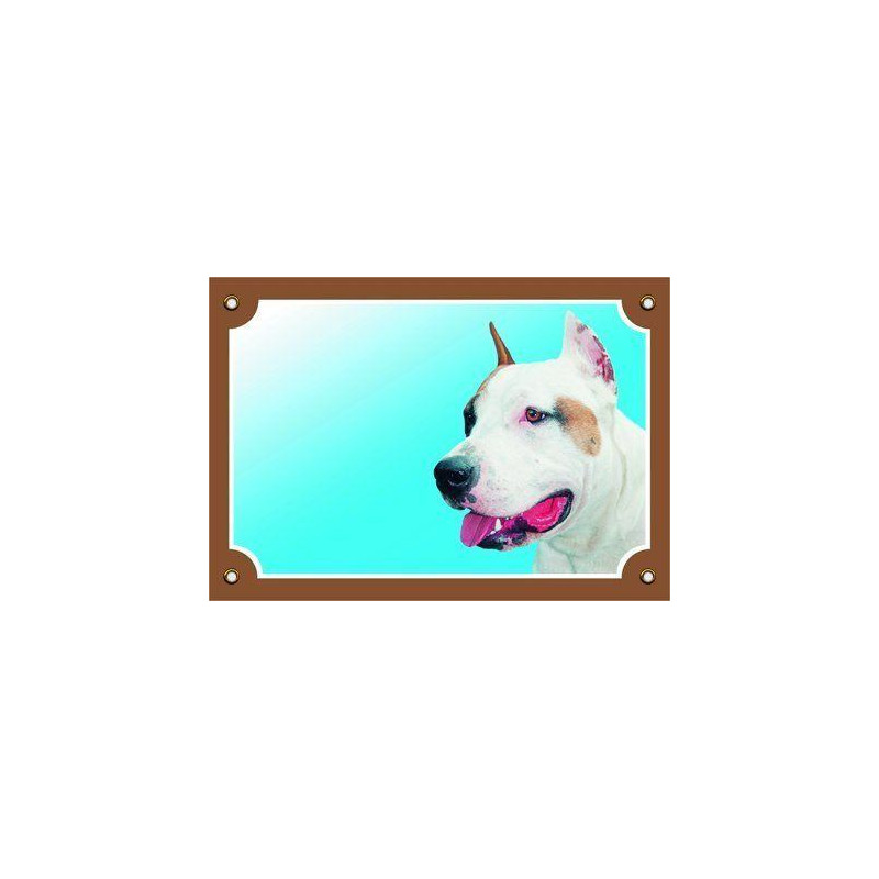 Barevná cedulka Pozor pes, Stafordšírský americký terier