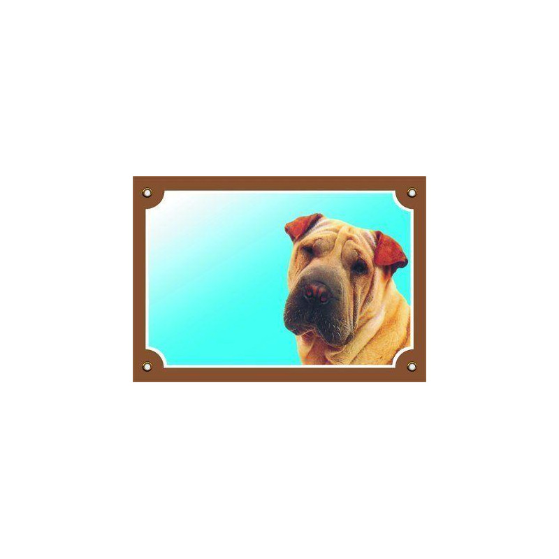 Barevná cedulka Pozor pes, Šarpei