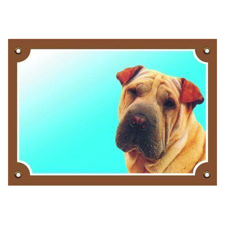 Barevná cedulka Pozor pes, Šarpei