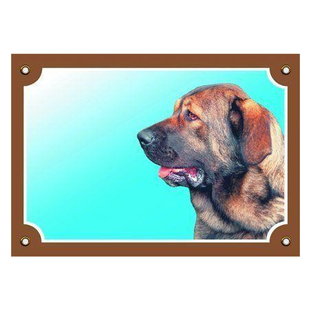 Barevná cedulka Pozor pes, Španělský mastin