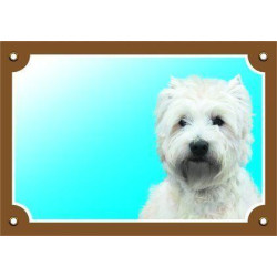 Barevná cedulka Pozor pes, West highland white terier