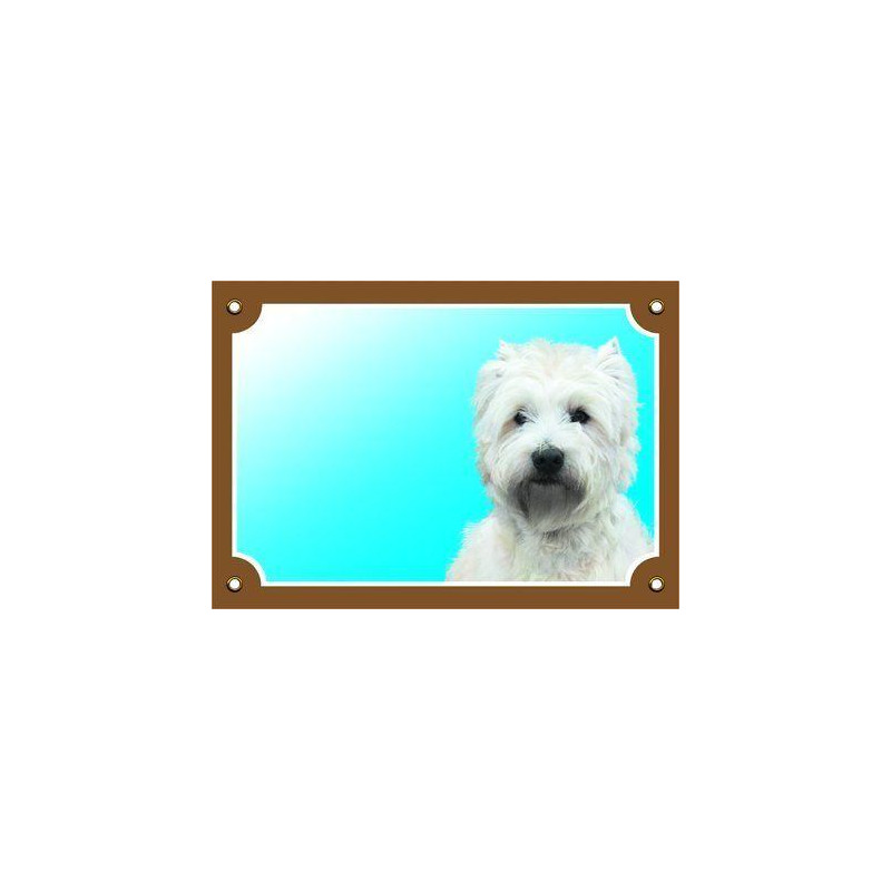 Barevná cedulka Pozor pes, West highland white terier