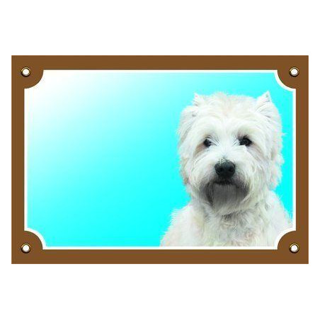 Barevná cedulka Pozor pes, West highland white terier