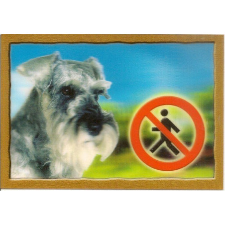 Cedulka 3D PSI, Knírač pepř a sůl