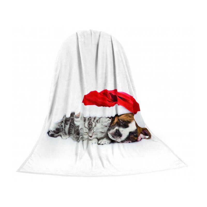 Deka TEXSTAR mikrovlákno 280g 150 x 200 cm, kotě a štěně vánoční