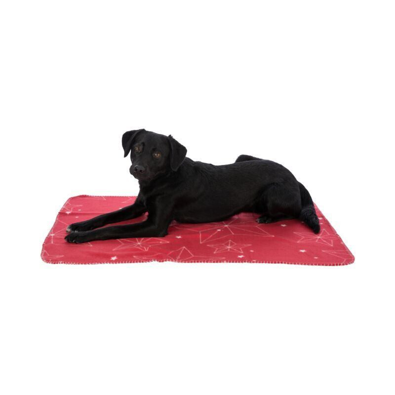 Xmas vánoční fleecová deka LUCIANO, 100 x 70 cm, mix barev (červená, písková, zelená)