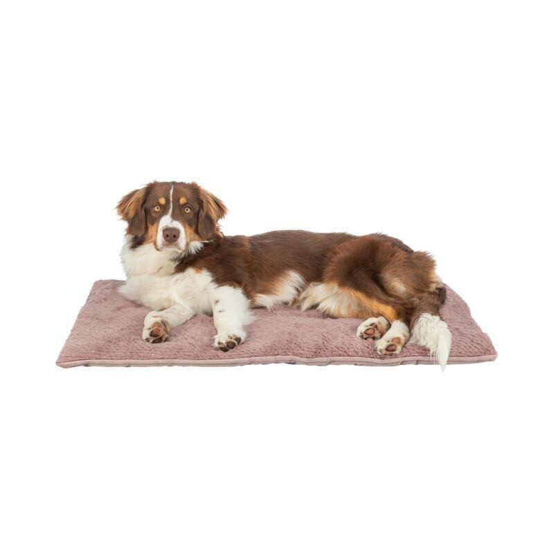 Vánoční podložka k ležení LIVIA Soft, 90 x 60 cm, starorůžová