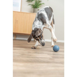 Labyrint-Snacky míč na pamlsky přírodní guma TRIXIE