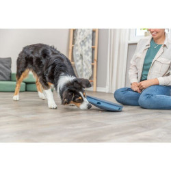 Dog Activity Rocking Maze, houpací bludiště na pamlsky, ø 28 cm