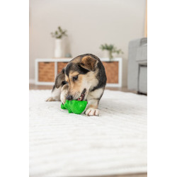 DOG ACTIVITY krokodýl na pamlsky, 18 cm, přírodní guma, zelená