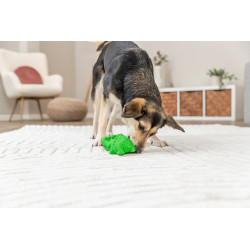 DOG ACTIVITY krokodýl na pamlsky, 18 cm, přírodní guma, zelená