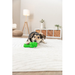 DOG ACTIVITY krokodýl na pamlsky, 18 cm, přírodní guma, zelená
