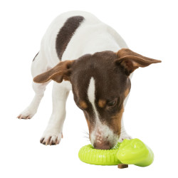 Snack Snake, had na pamlsky, TPR, 18 cm, zelená