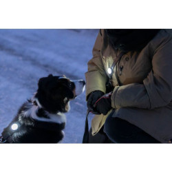 Flasher USB blikačka LED pro psy, ø 3 x 8cm (RP 2,10 Kč)