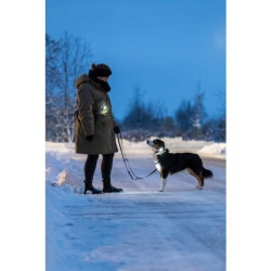 Flasher USB blikačka LED pro psy, ø 3 x 8cm (RP 2,10 Kč)