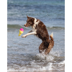 Aqua Toy žraločí ploutev, plovoucí, TPR, ø 18 cm