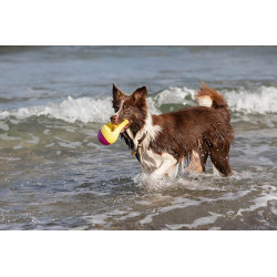 Aqua Toy žraločí ploutev, plovoucí, TPR, ø 18 cm