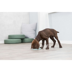 JUNIOR lízací talířek na pamlsky/paštiky, mátová