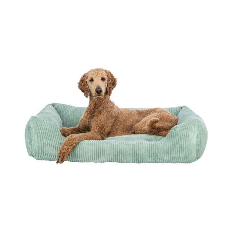 Vital Bed JONNA ortopedický obdélníkový pelech, manšestrový plyš, šalvějová