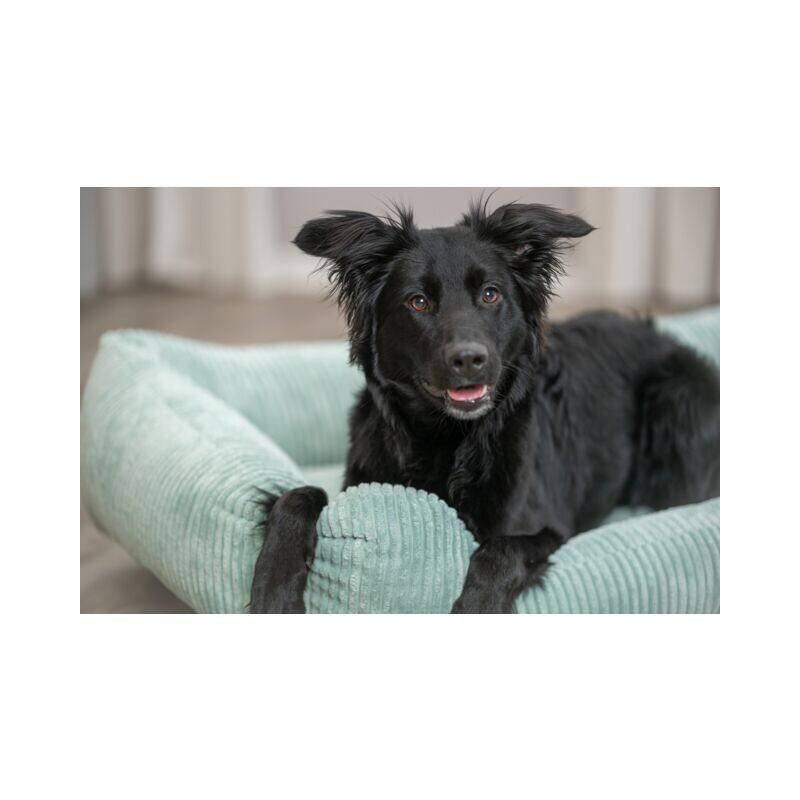 Vital Bed JONNA ortopedický obdélníkový pelech, manšestrový plyš, šalvějová