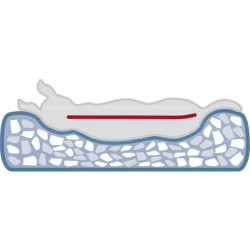 Vital Bed JONNA ortopedický obdélníkový pelech, manšestrový plyš, šalvějová