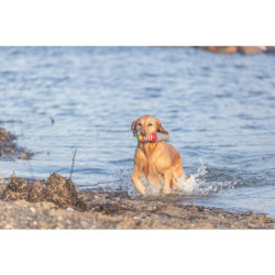 Aqua Toy Lighthouse - maják, plovoucí hračka, TPR