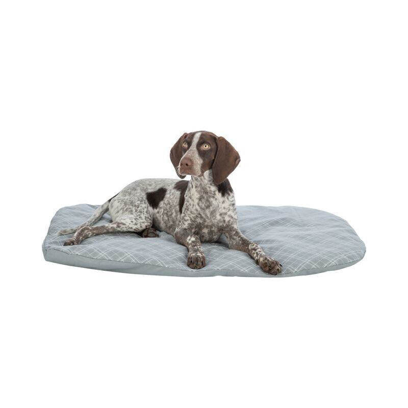 Oválný polštář JESSIE 50 x 40 x 4 cm, bavlna/polyester, šedá/bílá