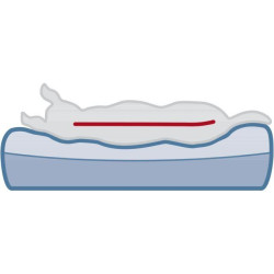 Vital Bed LINO, ortopedický obdélníkový pelech, šedá/světlešedá