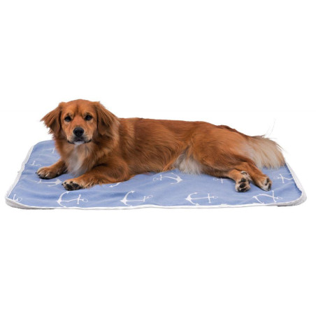 Deka Anchor, modrá/bílá