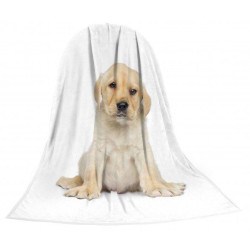 Deka TEXSTAR mikrovlákno 280g 150 x 200 cm, štěně