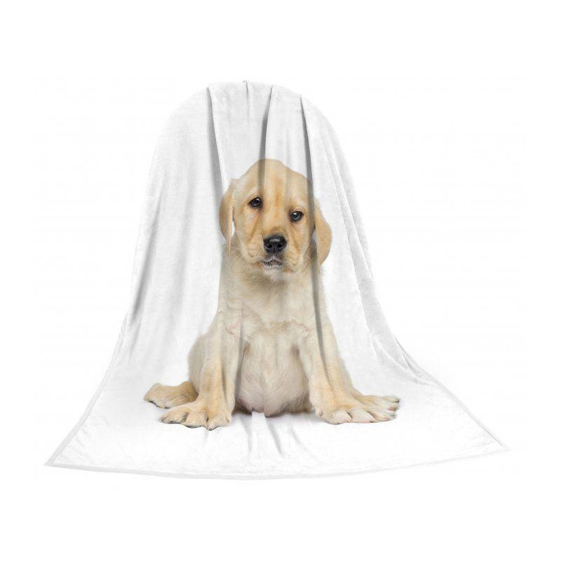 Deka TEXSTAR mikrovlákno 280g 150 x 200 cm, štěně