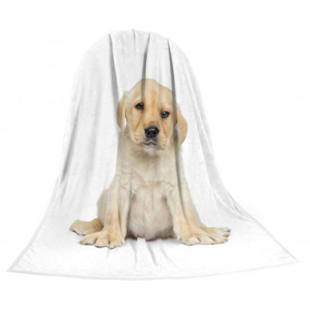 Deka TEXSTAR mikrovlákno 280g 150 x 200 cm, štěně