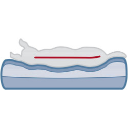 Ortopedická pohovka BENDSON Vital s 1/2 okrajem, obdélníková, tmavě šedá/světle šedá