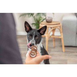 DentaFun Beef Chewing CURL [50], spirála s hovězím masem, 12 cm / 12 g