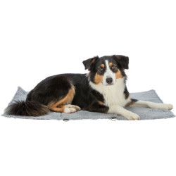 Cestovní deka AMY, šedá