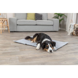 Cestovní deka AMY, šedá