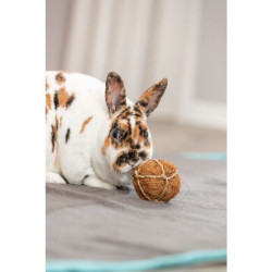 Míček - přírodní hračka pro hlodavce ø 6 cm, kokosová vlákna/mořská tráva