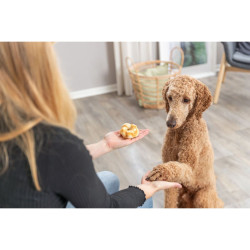 DentaFun Twists, kolagenové věnečky s kuřetem, 2 ks/ 85 g