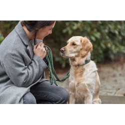 Vodítko PURE kožené kulaté nastavitelné, S: 2 m/ 10 mm, šalvějová