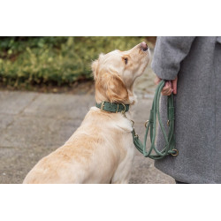 Vodítko PURE kožené kulaté nastavitelné, S: 2 m/ 10 mm, šalvějová