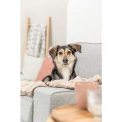 Deka ELLI Soft Edition 70 x 50 cm, dvouvrstvá, plyš / samet, písková