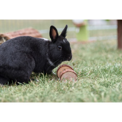 Dřevěné činky pro hlodavce 4,5x9 cm (2 ks)