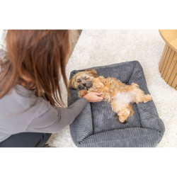 Vital Bed JONNA ortopedický obdélníkový pelech 120 x 80 cm, manšestrový plyš, tmavě šedá