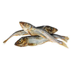 KIDDOG SUPER PREMIUM 100% dried real fish - islandský herinek 100 g