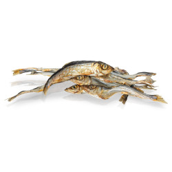 KIDDOG SUPER PREMIUM 100% dried real fish - islandský herinek 100 g