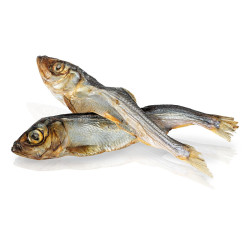 KIDDOG SUPER PREMIUM 100% dried real fish - islandský herinek 100 g