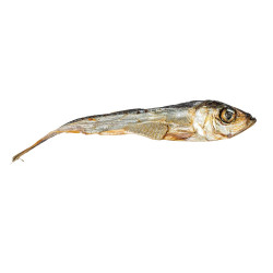 KIDDOG SUPER PREMIUM 100% dried real fish - islandský herinek 100 g